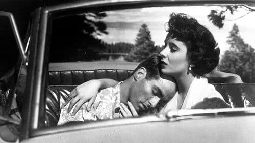 Ein Platz an der Sonne Bild 3