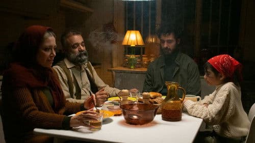 ستاره دنباله‌دار Bild 1