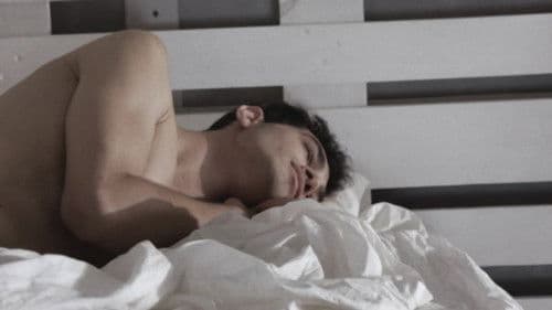 Dreams from Strangers Bild 6