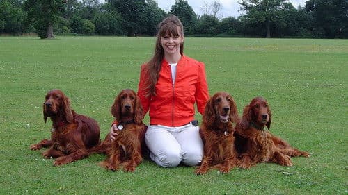 It's Me or the Dog Bild 1