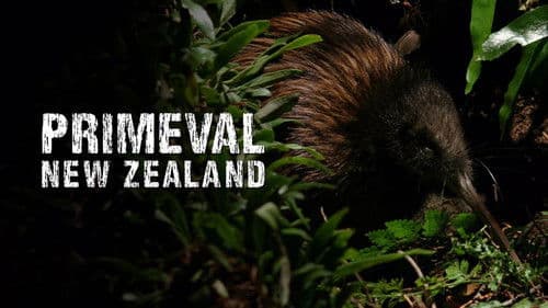 Primeval New Zealand Bild 1