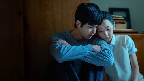 如果我不曾見過太陽 Bild 3