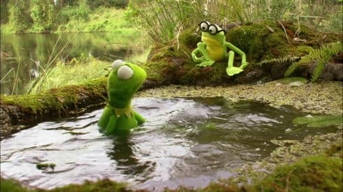 Kermit der Frosch Bild 2