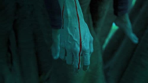 As Núpcias de Drácula Bild 7