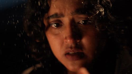 the flower she left me Bild 1