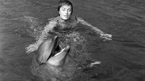 Соперницы Bild 3