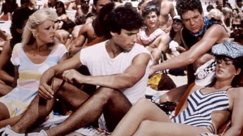 Beach Parties Bild 4