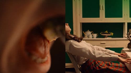 Niki de Saint Phalle Bild 7