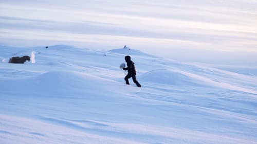 -22.7°C The Far North Musical Experience Bild 2