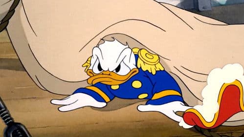 Donald auf großer Fahrt Bild 2