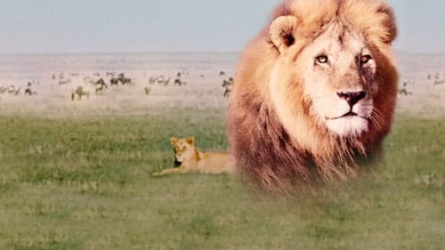 Geheimnisse der Steppe Bild 4