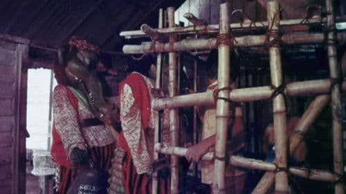 The Rare Blue Apes of Cannibal Isle Bild 4