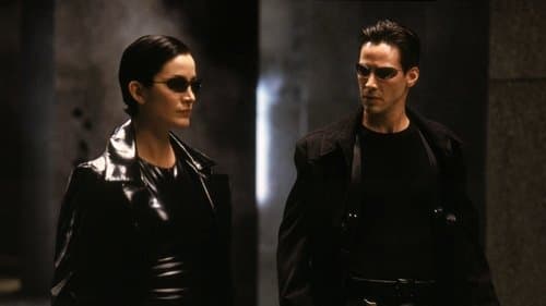 Matrix Bild 8