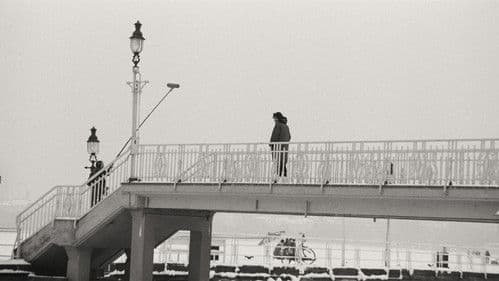 Nicht nichts ohne Dich Bild 2