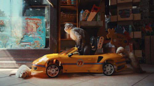 Akiko - Der fliegende Affe Bild 3