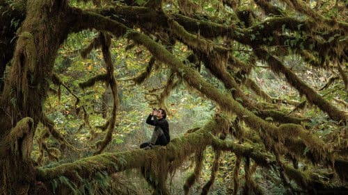 Das Flüstern der Wälder Bild 3