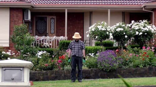 The Weed Whacker Bild 1