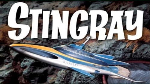 Stingray Bild 3