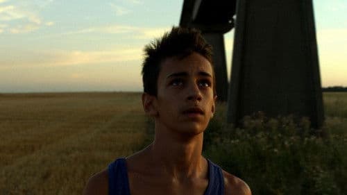 Juillet électrique Bild 3