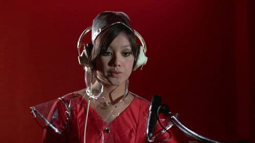 Liebesgrüße aus Fernost Bild 6