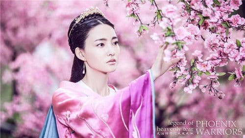 天泪传奇之凤凰无双 Bild 8