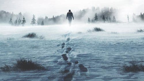 Alone - Überleben in der Wildnis Bild 1