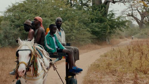 Patience (Sabali) Bild 5