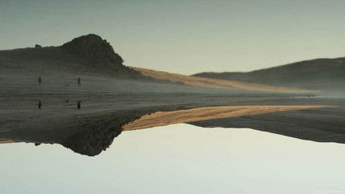 ¡Vivan las Antipodas! Bild 1