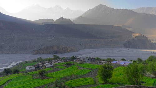 Blue Kangling Bild 7