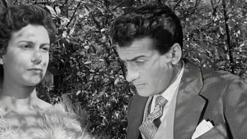 Το Οργανάκι του Αττίκ Bild 1