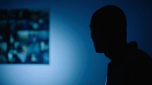 Yeniden Leyla Bild 1