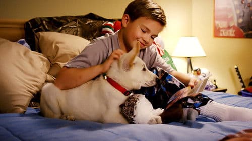 A Belle for Christmas Bild 1