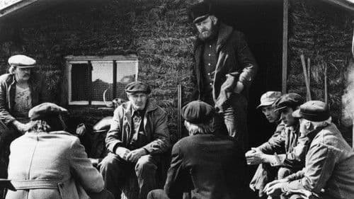 Northern Lights Bild 2