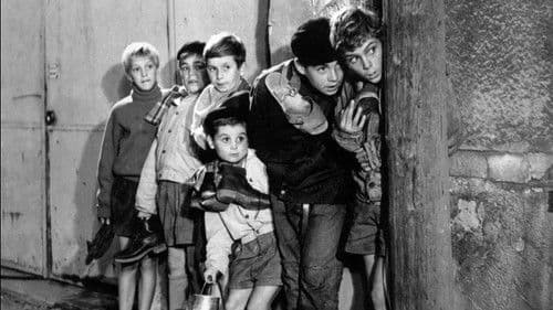 Der Krieg der Knöpfe Bild 3