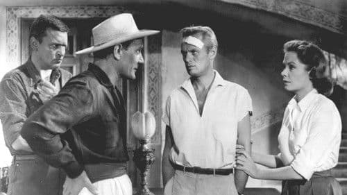 Der Sonne entgegen Bild 4