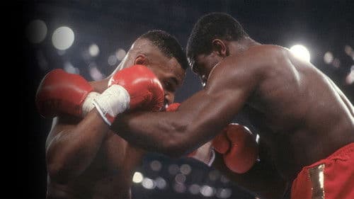 Bruno v Tyson Bild 2