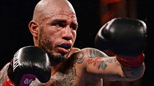 Miguel Cotto vs. Sadam Ali Bild 2