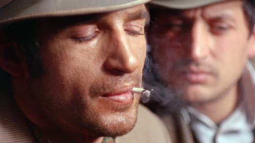 Ich traf sogar glückliche Zigeuner Bild 3