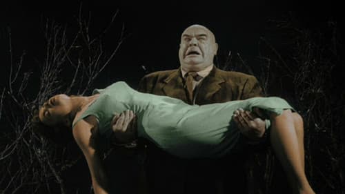 Plan 9 aus dem Weltall Bild 5