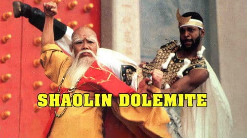 Shaolin Dolemite Bild 2