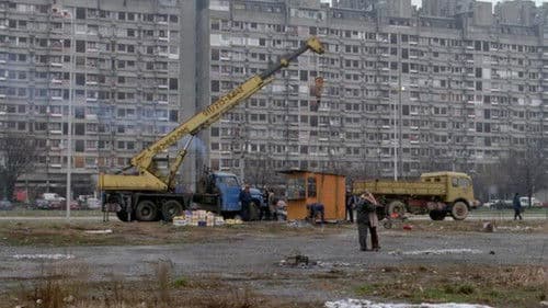 Liebe und andere Verbrechen Bild 5