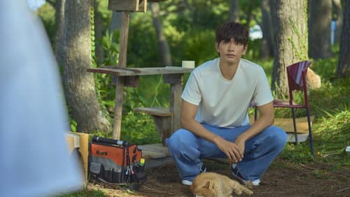 아주르 스프링 Bild 1