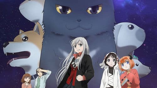 Too Cute Crisis Bild 2