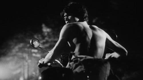 His Motorbike, Her Island Bild 6