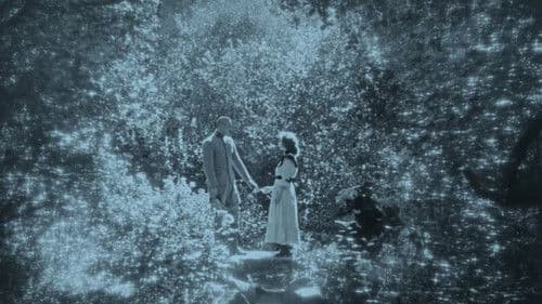 Merry-Go-Round Bild 3