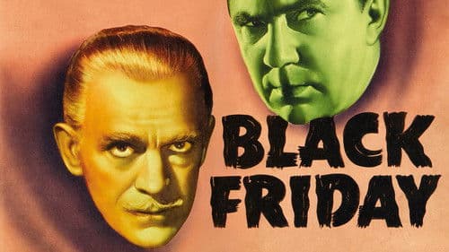 Schwarzer Freitag Bild 8