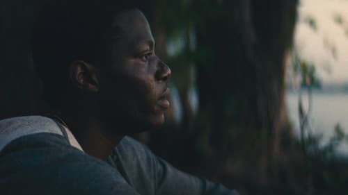 It Comes in Waves Bild 1