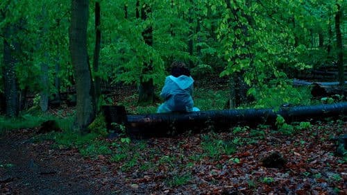 Пфаффендорфський ліс Bild 1