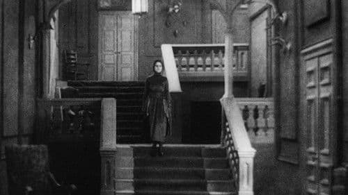 Schloß Vogelöd Bild 5