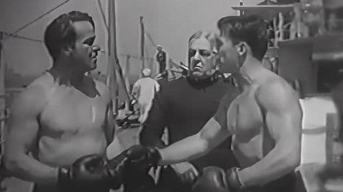 The Blue Eagle Bild 2